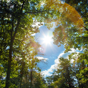 抖阴巨乳师生恋

